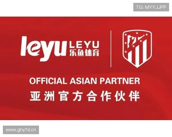 乐鱼体育官网平台如何实现快速注册与便捷登录流程提升用户体验