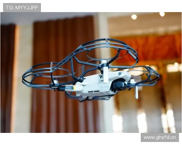 乐鱼体育真人国际平台操作流程详解,新手也能轻松上手快速入门